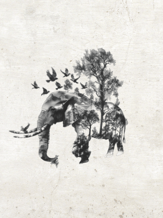 Sticker Mural Arbre Eléphant / 56x57